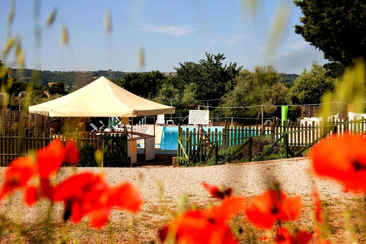 Agriturismo Il Belvedere Country Houses Massa Marittima Kültér fotó