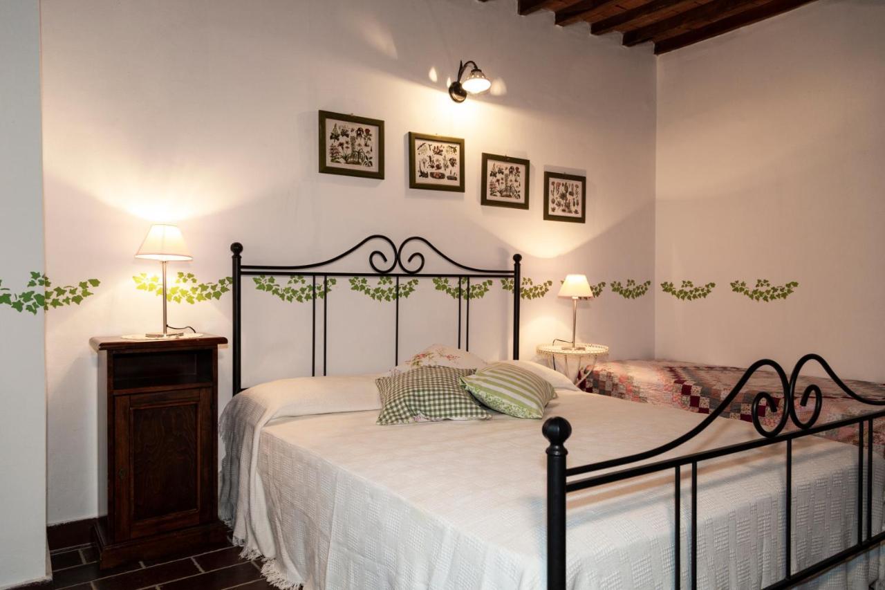 Agriturismo Il Belvedere Country Houses Massa Marittima Kültér fotó