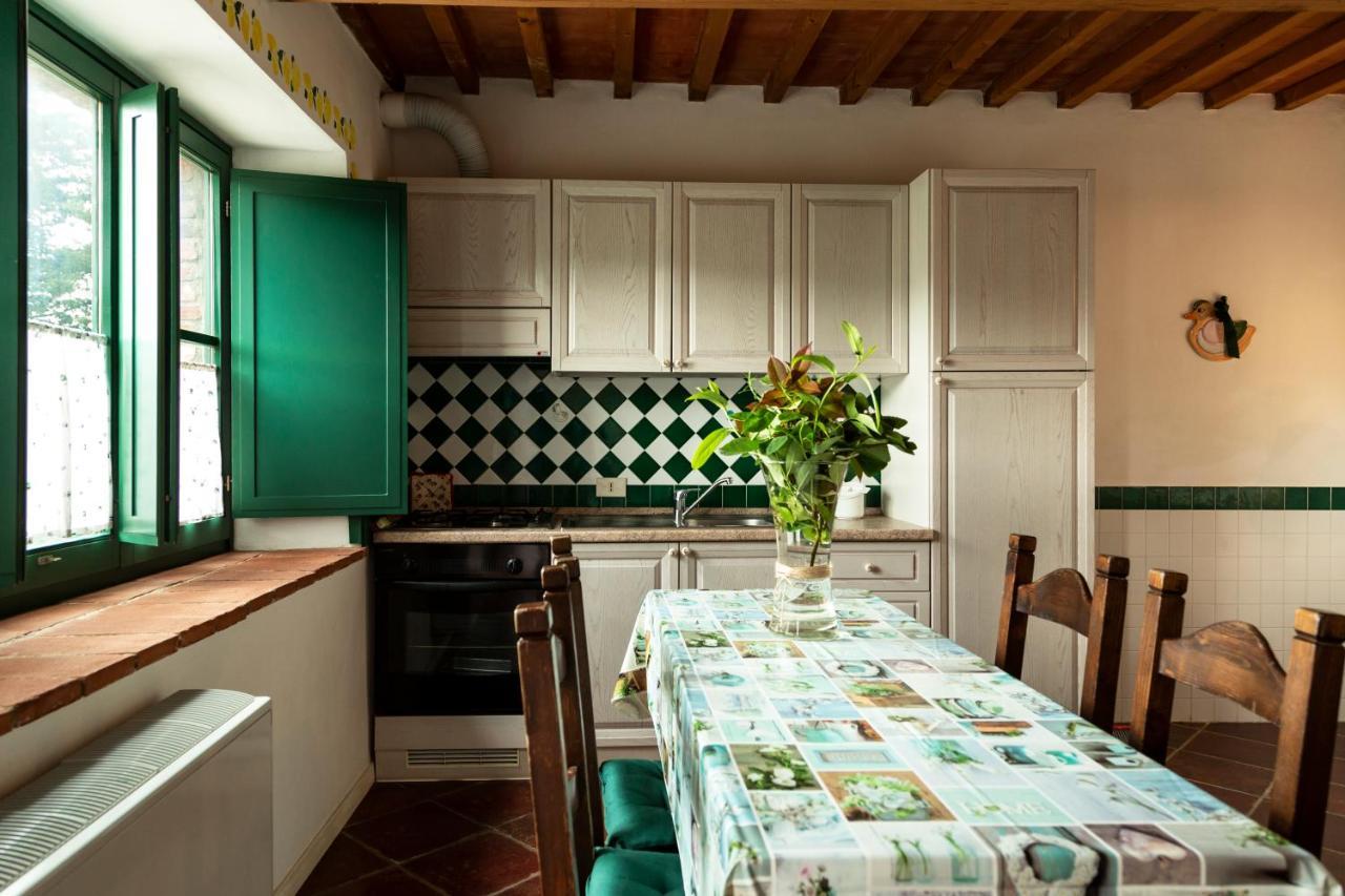 Agriturismo Il Belvedere Country Houses Massa Marittima Kültér fotó
